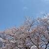岡山県 恩原高原氷紋まつり２０２３年 花火大会 打ち上げ時間は？