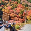 高野龍神スカイライン　雲海と紅葉　ツー　①