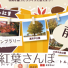 １日でゴールできるかな？！第9回 公園巡りスタンプラリー～秋の紅葉さんぽ～【前編】