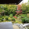 2023　11/11の拝観報告2（妙心寺 天球院　花園法皇忌 副席）