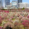 2025年3月9日(日)　 晴れた日曜日に大阪城界わいで仕事＆ジョグ