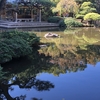 秋は深まる