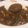 神田神保町の新鋭　調和がとれたこだわりカレー　「MAJI CURRY(マジカレー)」