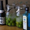  梅酒漬けました