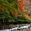 湯ヶ島の紅葉