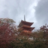 【観光】京都へ行ってきました♪