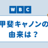 【WBC2023】ソフトバンク捕手甲斐拓也選手の「甲斐キャノン」の由来は？