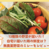 無農薬野菜のミレーの野菜セットをお試し！評判は？おすすめ野菜は？