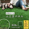 網戸に羽虫がいました。