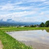 眼科に行ってきました