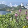 【秋田】鉾立口から登る！　お花畑あり、雪渓あり、岩場ありの鳥海山日帰り登山