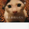 「猫とあほんだら」　2011