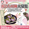 桜もちに関する川柳を投稿して明日香野和菓子を貰おう！ 明日香野45周年キャンペーン第15弾