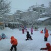 一晩で今年一番の積雪となりました。