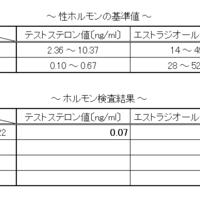 ホルモン治療後 ～ 現在まで（8ヵ月間）