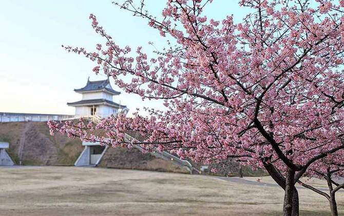 世界遺産や絶景の日の出、花の楽園… 栃木県の魅力をプレゼン！ 「Google Pixel プロダクトスペシャリスト」と巡る観光スポット