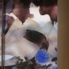 冬の夜に浮かび上がる光のアート
