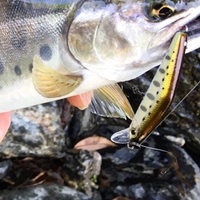ヤマメの渓流釣り ルアーでの釣り方を徹底解説する 生涯ヤマメ釣り