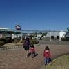 2019.3　県立辻堂海浜公園