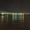 釣り初め、名古屋港・金城橋でタケノコメバル釣行
