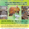 内山春雄先生のバードカービング展が我孫子市民プラザギャラリーで開催中です。
