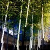 展示会・・