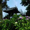 あじさいと花々と小屋の数々が楽しい白山神社・松尾神社（東京都文京区）