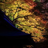 湖東三山百済寺と永源寺の紅葉