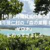 【絶景3時間貸切サウナ】沖縄今帰仁村の「森の巣箱-絶景サウナ」に行ってきました【2023年1月最新】