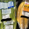 トナの様子