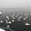 浅所海岸にて