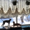叶えられなかった夢・・・とは。