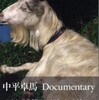 『Documentary』中平卓馬(AkikoNagasawaPublishing)