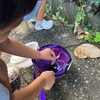 【大人になるとできなくなること】昆虫を掴む！