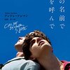 ―17歳、イタリア。ひと夏の恋。　　『君の名前で僕を呼んで』André Aciman　　