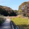 秋の１日、深大寺（３）水生園から城址公園へ。