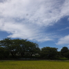 台風一過・・・爽やか～、とはいかず暑いですねぇ