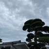 忌まわしい雨