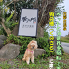 【わんこと旅】 （宿）Wa!王国 句の郷 ≪熊本県≫