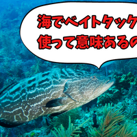 ハードロックフィッシュに最適なのはどっち フロロカーボンとpeラインのメリット デメリットと使い分ける方法 ロックリンク Rock Link