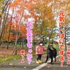 紅葉がキレイな公園までドライブしてきたですよ！
