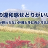 ９月の今、季節の違和感せどりがいい感じ　〜夏が終わらない沖縄と冬に向かう北海道〜