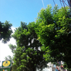 Ordinary Day