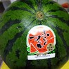 有難う！野菜たち