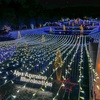 2025年国営アルプスあづみの公園のイルミネーションを観に行ってきたよ！