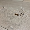 【ADHD】直ぐに椅子の脚キャップを交換しなかったばかりに・・・