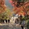 修験者の湧水と紅葉の山寺（大阪府 河内長野市）