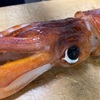 アブライカを釣って食べた〜レシピと感想