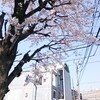 春うらら♪　　4月1日お休みします♪