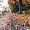 【会津紅葉散歩】カメラ片手に会津大学の紅葉を満喫してきました。